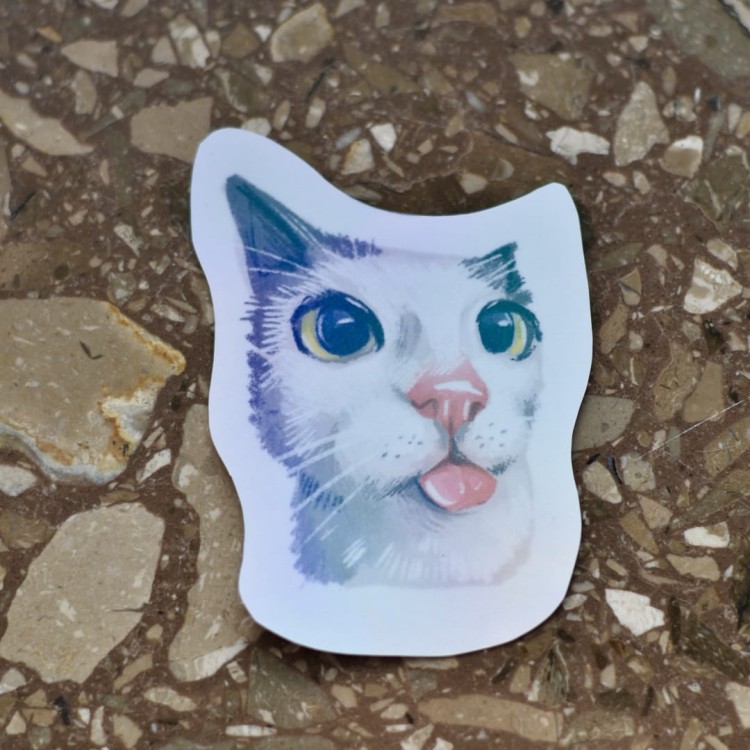 DSC_0294.jpg