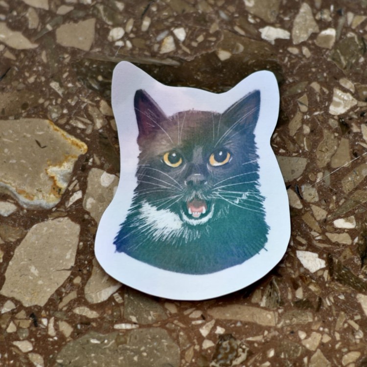 DSC_0295.jpg