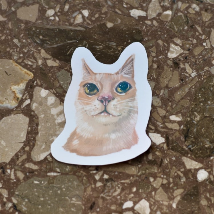 DSC_0296.jpg